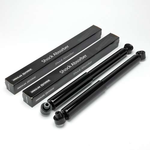 Ammortizzatori - 2x,