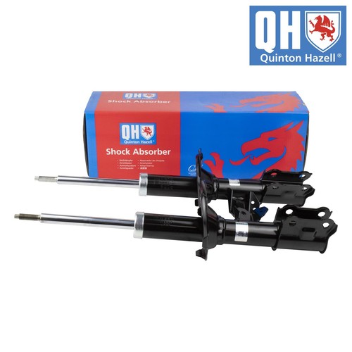 Coppia ammortizzatori - qh,